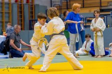 01.05.2022 Wachau JUDO Kids Cup